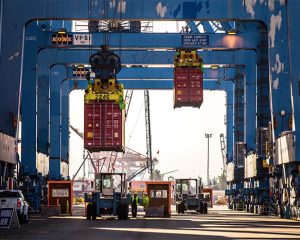 stevedore